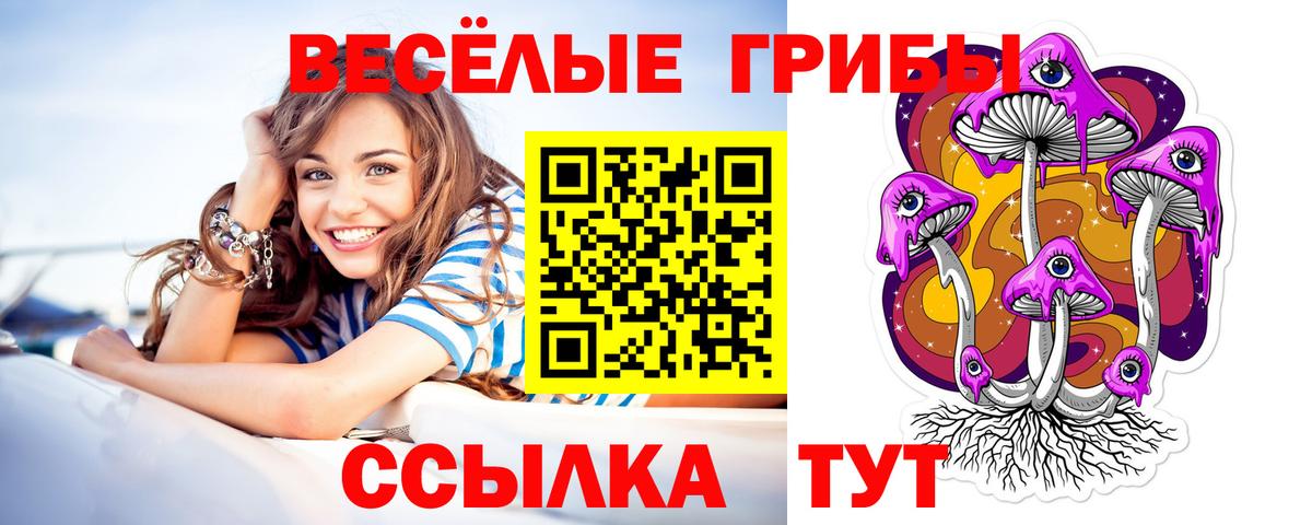 Соль-Илецк  Псилоцибиновые грибы Cubensis  Вход с VPN  Галлюциногенные грибы Psilocybe 